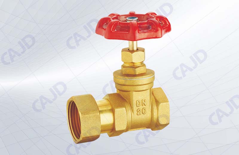 Z109 Brass live connection check gate valve